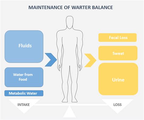 水上活動有哪些6 且談談如何在水中保持平衡